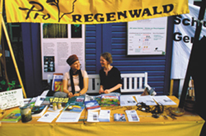 Stand Proregenwald